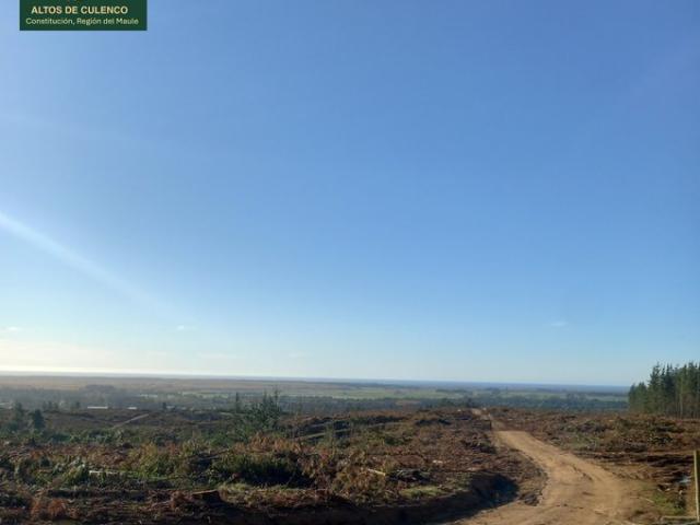 Constitución, Altos de Culenco