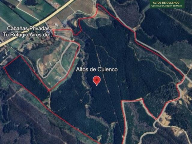 Constitución, Altos de Culenco