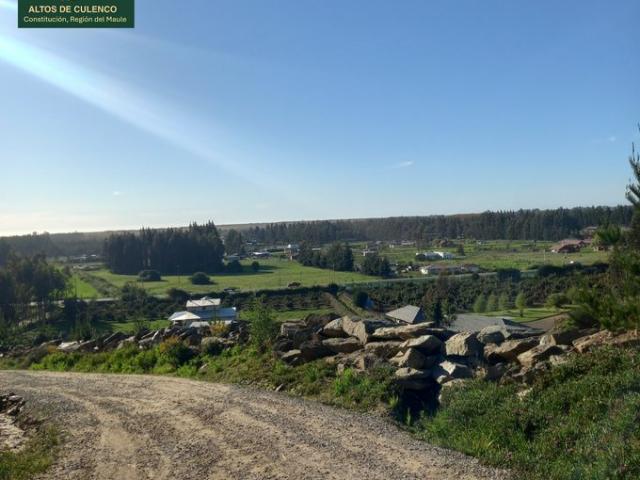 Constitución, Altos de Culenco