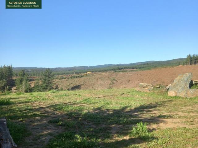 Constitución, Altos de Culenco