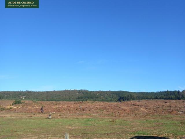 Constitución, Altos de Culenco