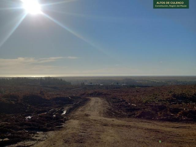 Constitución, Altos de Culenco