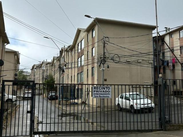 Constitución, Constitución