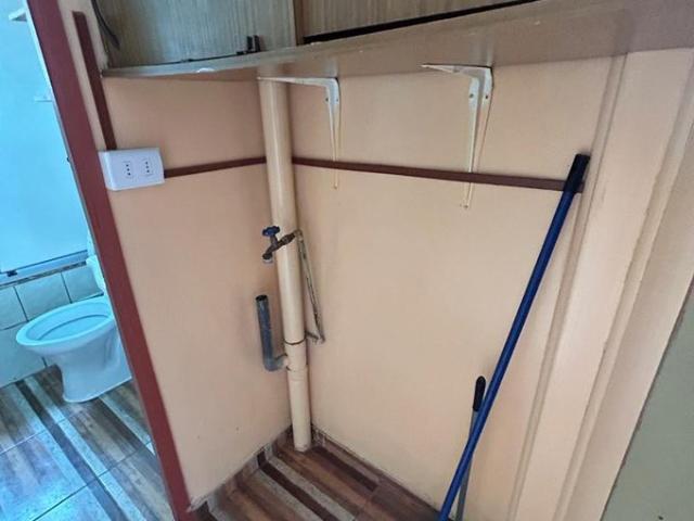 Constitución, Constitución