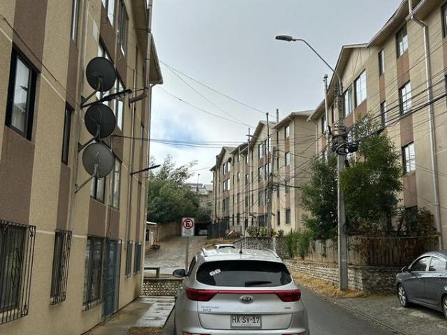 Constitución, Constitución