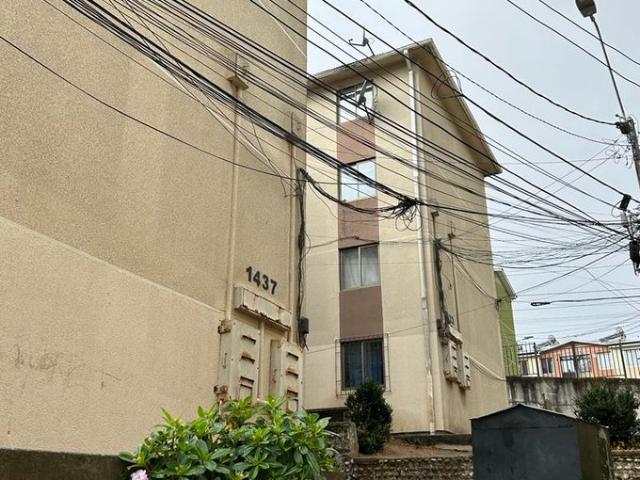 Constitución, Constitución