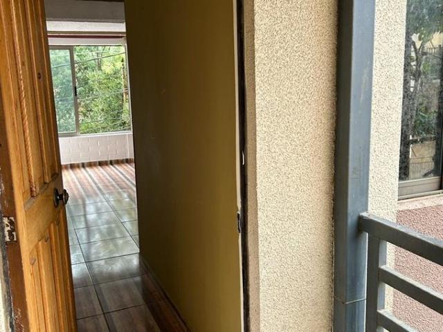 Constitución, Constitución