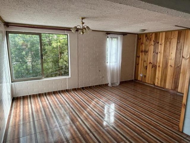 Constitución, Constitución