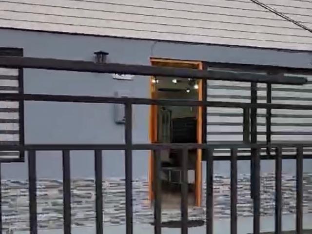 Constitución, Constitución