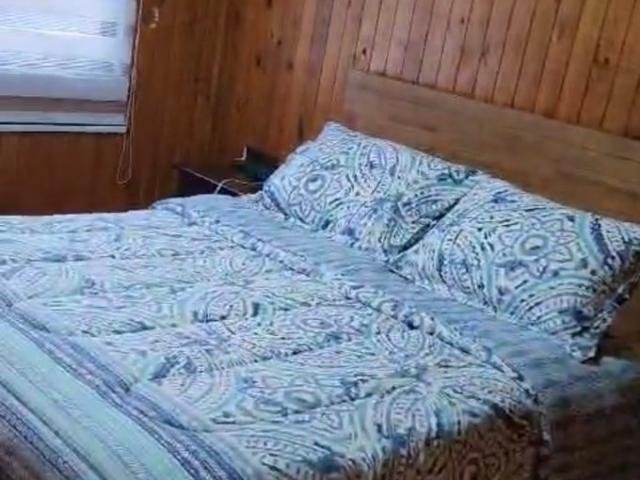 Constitución, Constitución