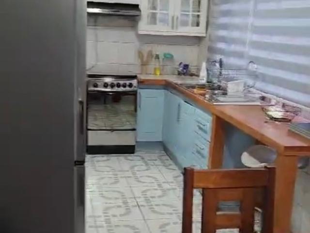 Constitución, Constitución