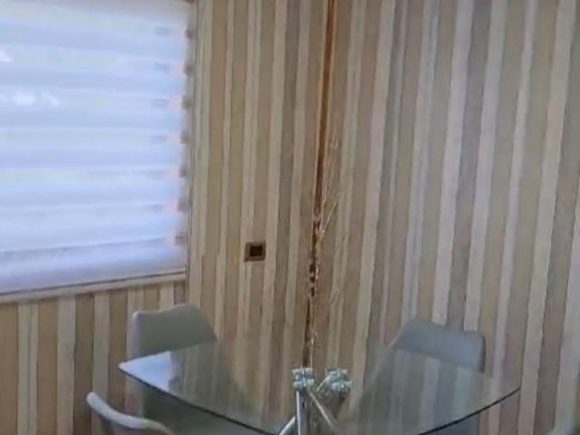 Constitución, Constitución