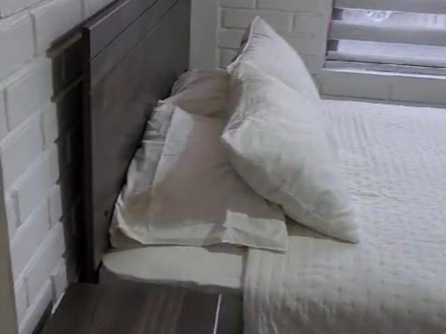 Constitución, Constitución