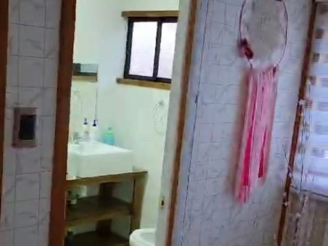 Constitución, Constitución