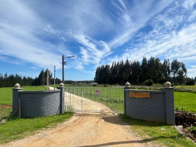 Constitución, Culenco, Putú