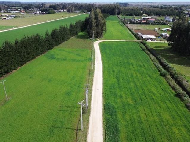 Constitución, Culenco, Putú