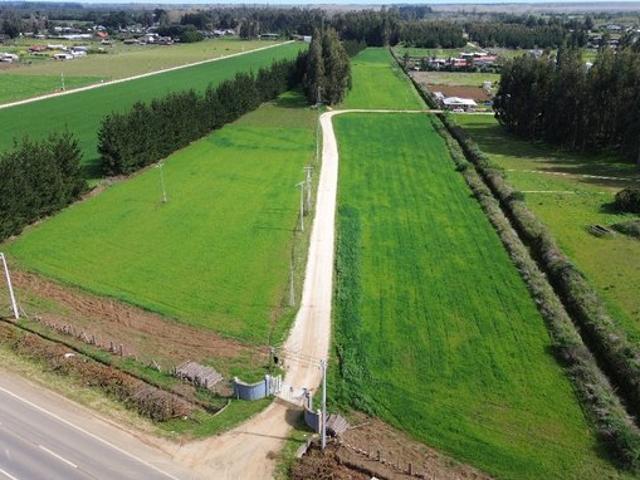 Constitución, Culenco, Putú