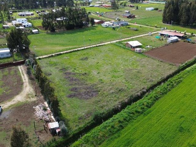 Constitución, Culenco, Putú