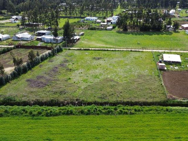 Constitución, Culenco, Putú