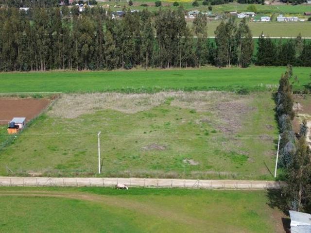 Constitución, Culenco, Putú