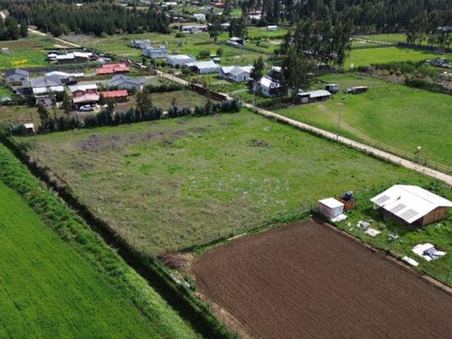 Constitución, Culenco, Putú