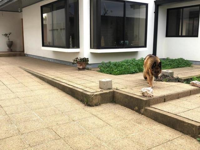 Constitución, Egaña 153