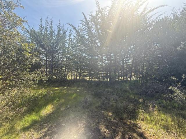 Constitución, Fundó el Dollimo