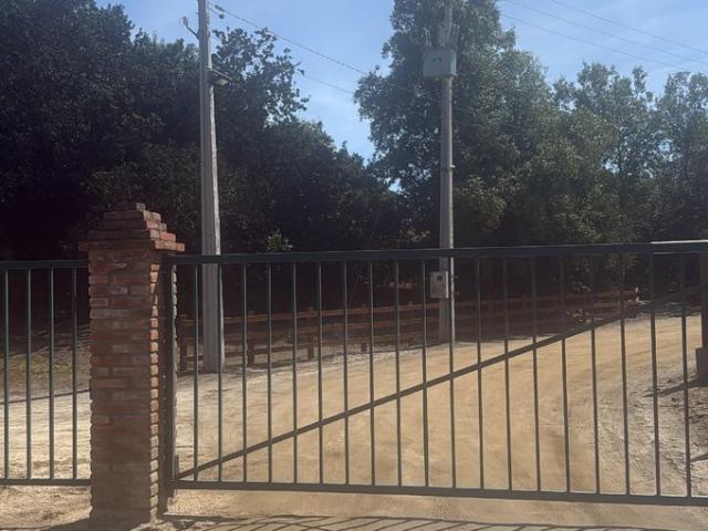 Constitución, Fundó el Dollimo