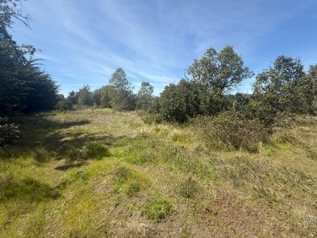 Constitución, Fundó el Dollimo