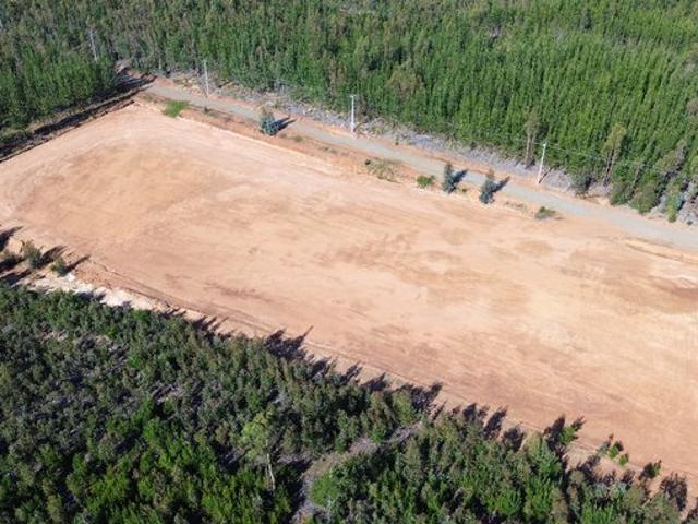 Constitución, Km 11, constitucion