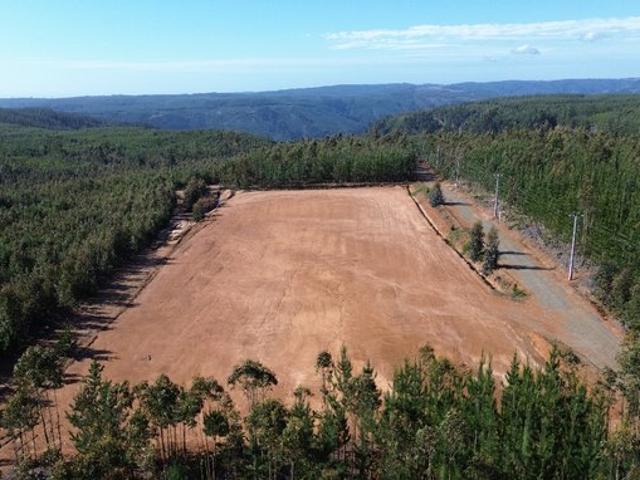 Constitución, Km 11, constitucion