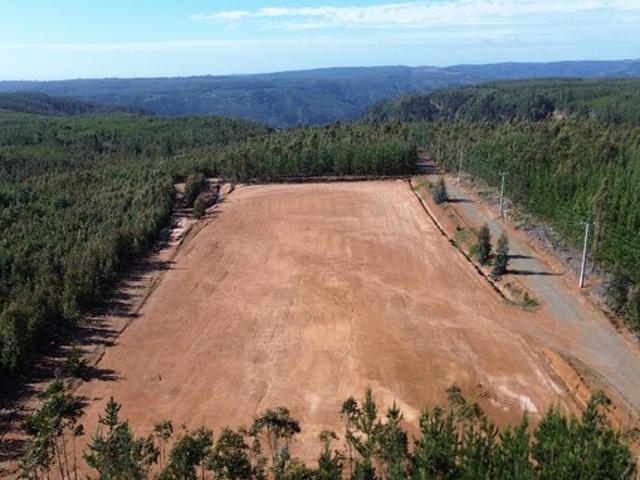 Constitución, Km 11, constitucion