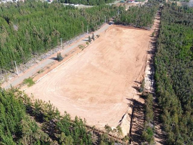 Constitución, Km 11, constitucion