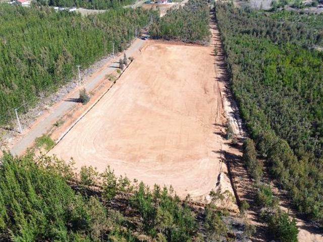 Constitución, km 11, ruta Constitución a San Javier