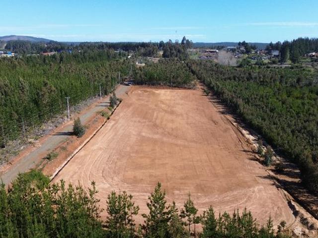 Constitución, km 11, ruta Constitución a San Javier