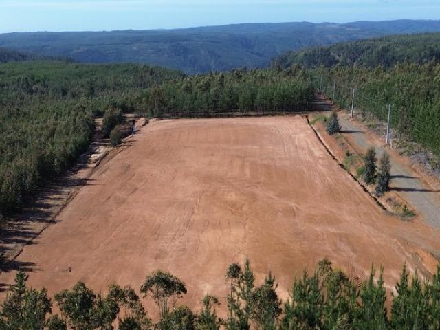 Constitución, km 11, ruta Constitución a San Javier