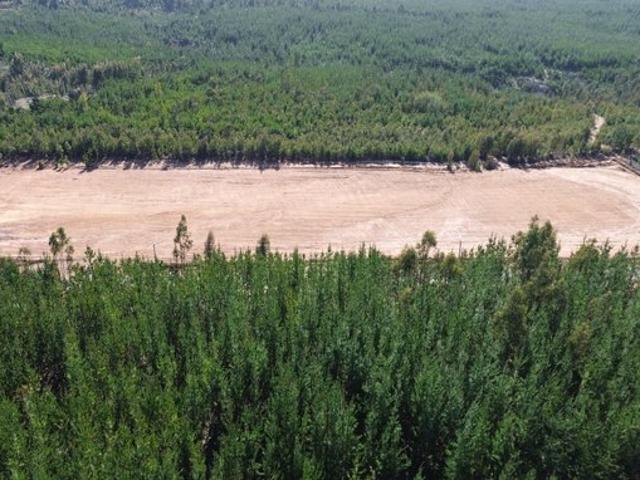 Constitución, km 11, ruta Constitución a San Javier