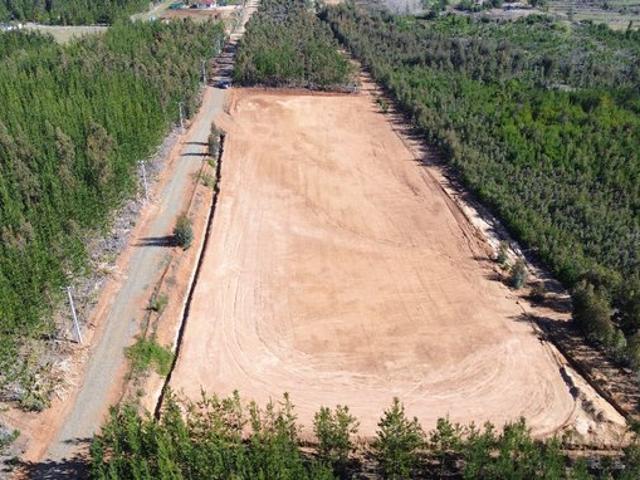 Constitución, km 11, ruta Constitución a San Javier