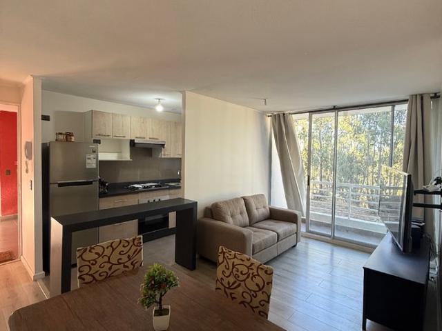 Constitución, Las Araucarias