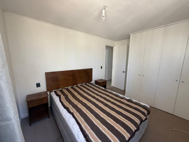 Constitución, Las Araucarias