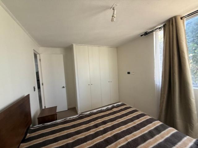 Constitución, Las Araucarias