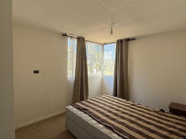 Constitución, Las Araucarias