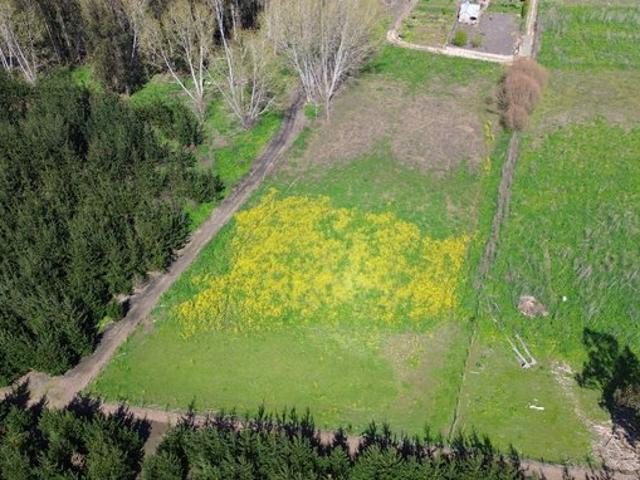 Constitución, Maromillas