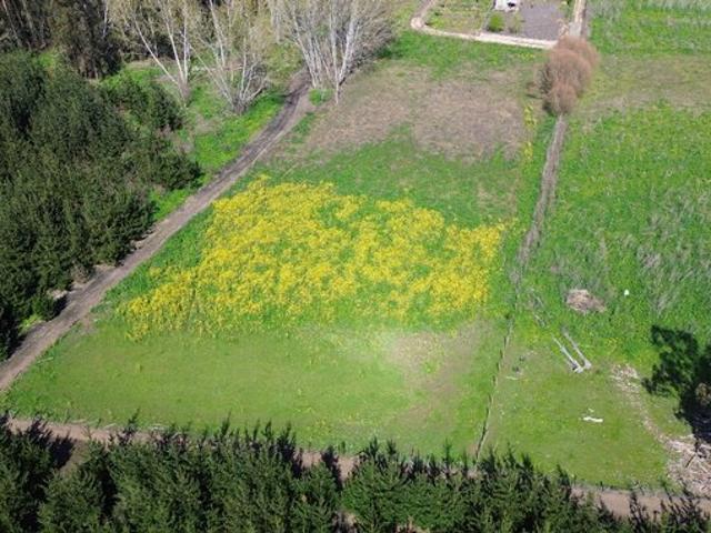 Constitución, Maromillas