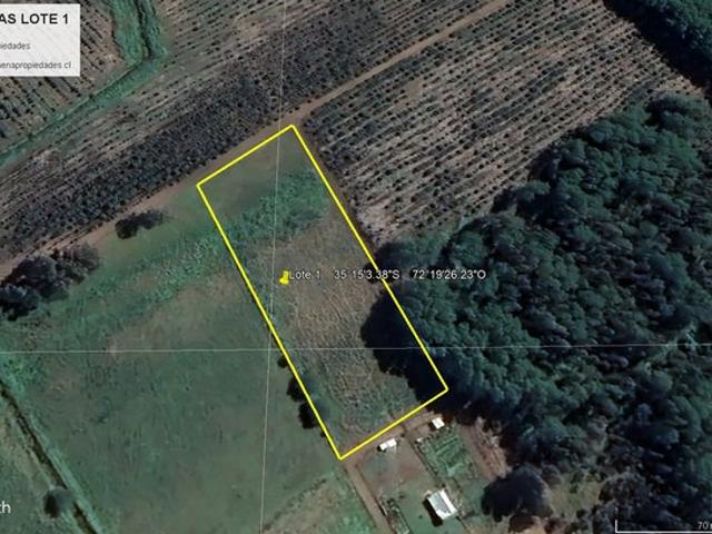 Constitución, Maromillas