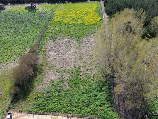 Constitución, Maromillas