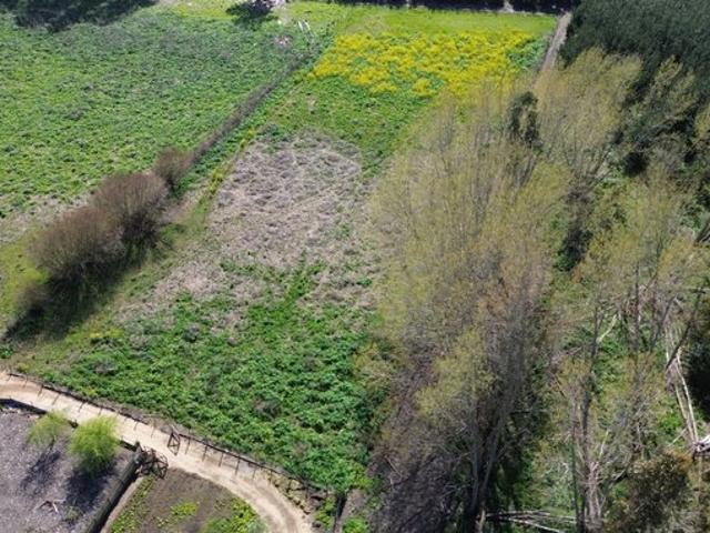 Constitución, Maromillas