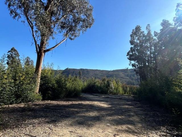 Constitución, Piedra del Lobo