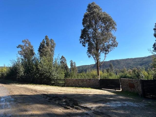 Constitución, Piedra del Lobo