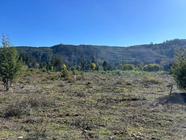 Constitución, Piedra del Lobo